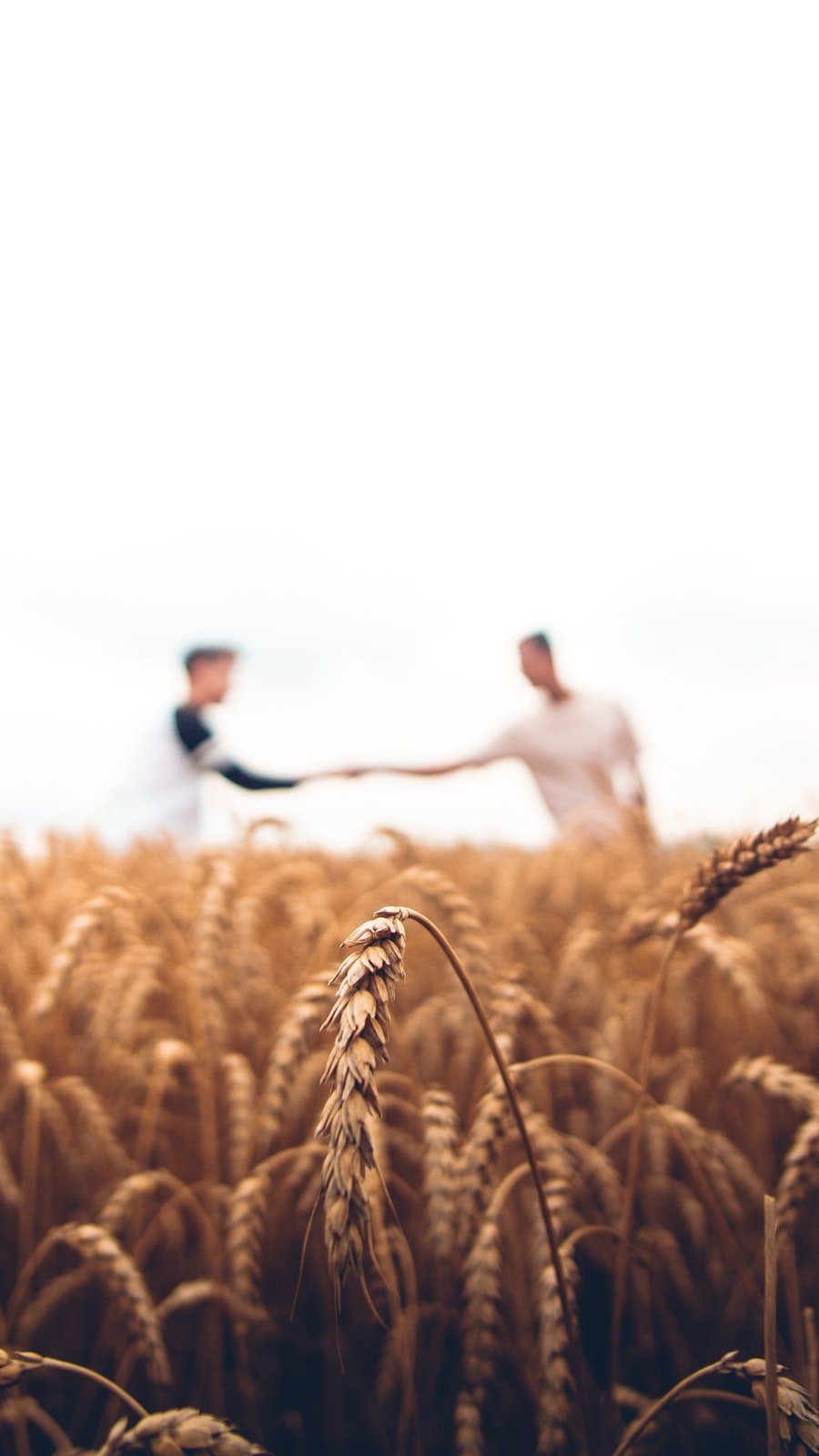 Agriculture Industry