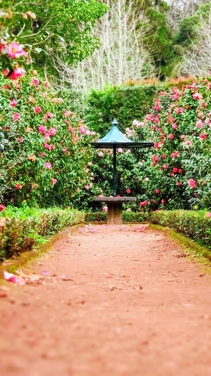 Home Garden Industry